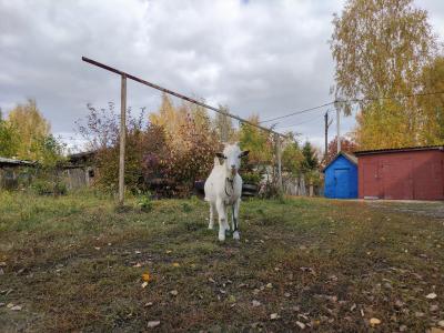 Чучково. Улица Молодёжная